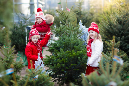 Christmas Tree Safety